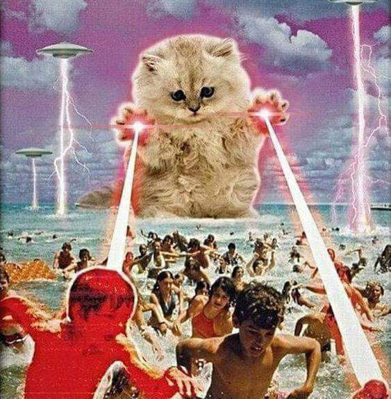 Le Petit Bazar Electro