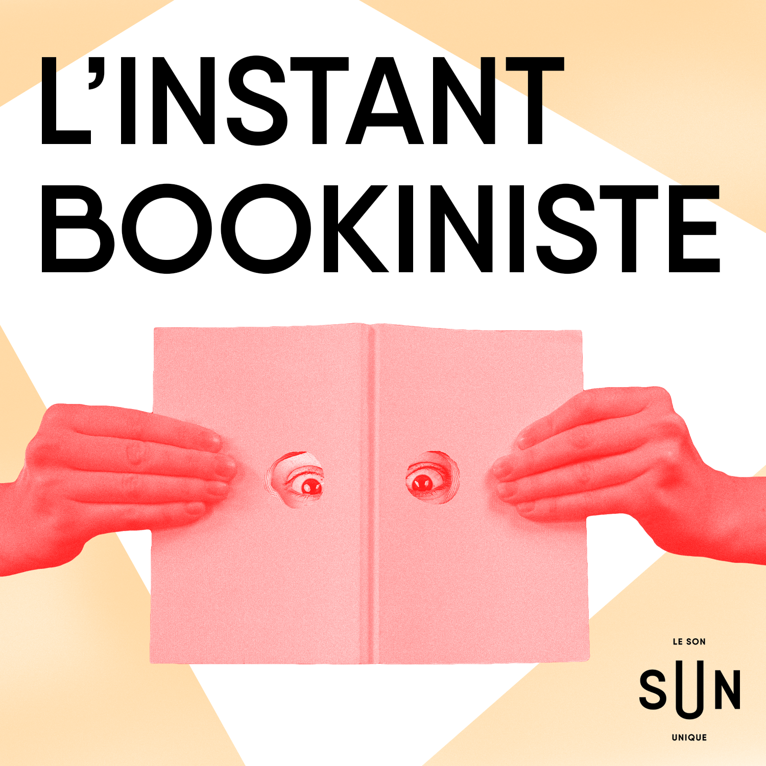 L\'instant bookiniste