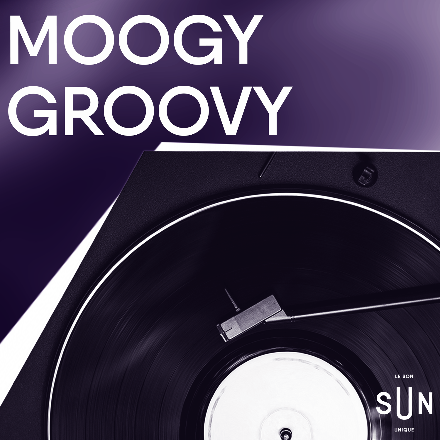 Moogy groovy