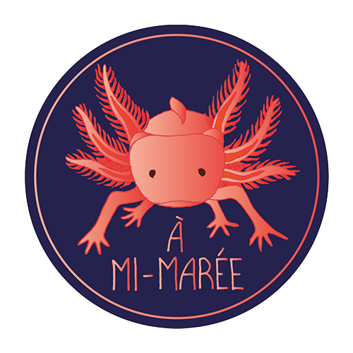 Festival À MI-MARÉE