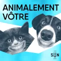 L'épigénétique - Animalement vôtre - Saison 5, Ep 18