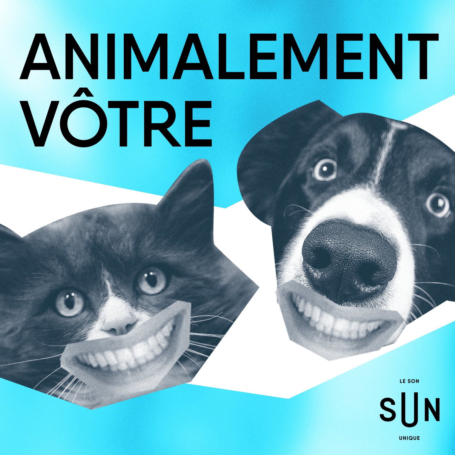 Nessie, vous connaissez ? episode artwork