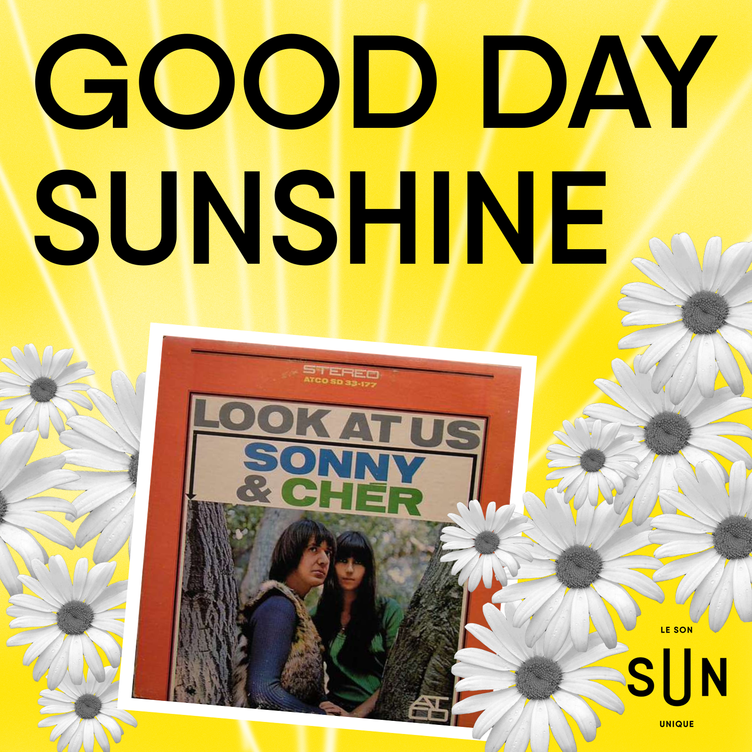 S2 E15 Sonny & Cher episode artwork